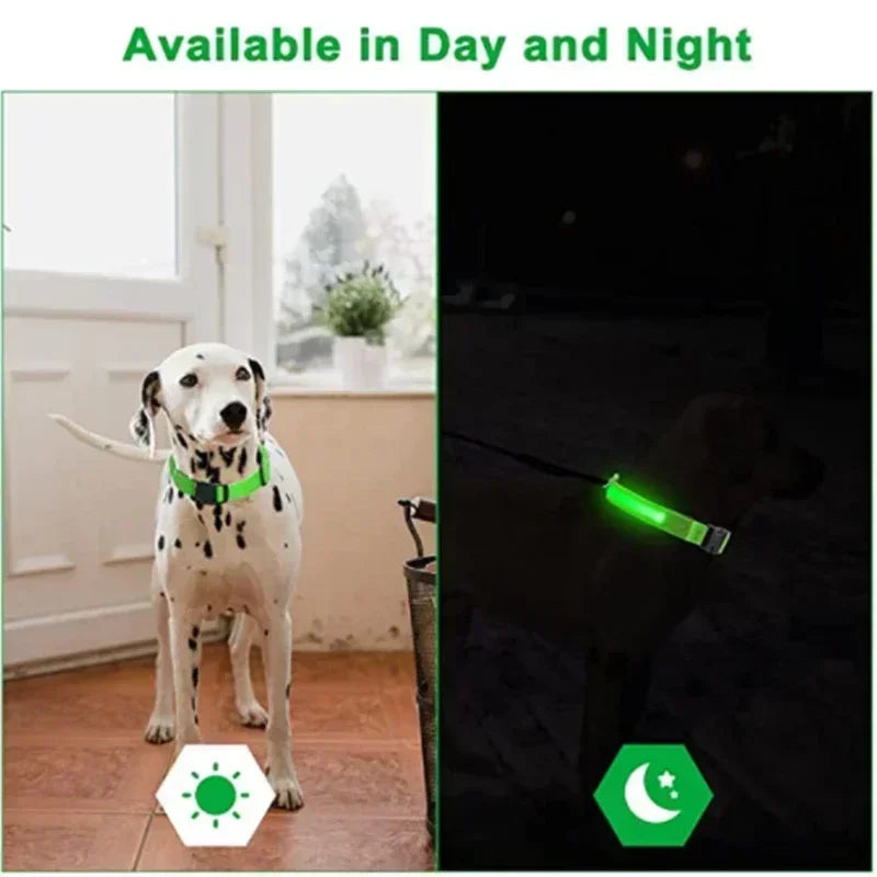 LED Glowing Dog Night Safety Collar