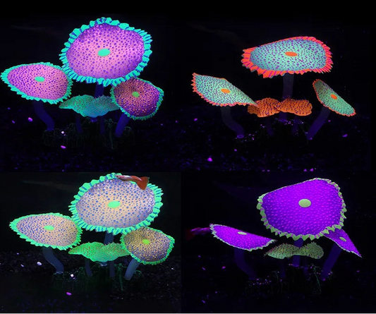 Fluorescent Silicone Disc Mushroom-Like  Aquarium Decoration for Fish Tank