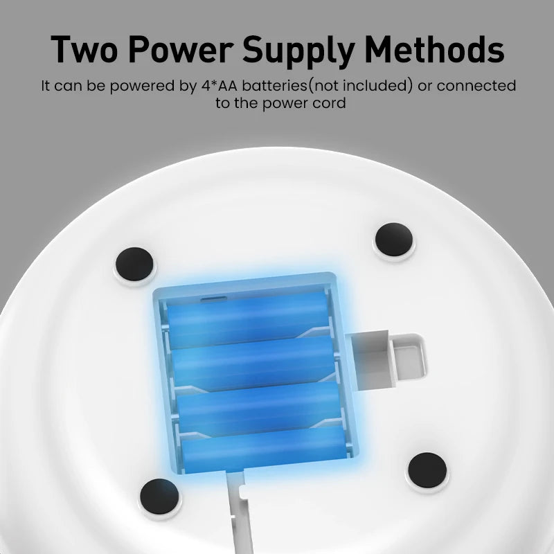 2-in-1 Interactive Cat Toy – Smart Feather Teaser & Automatic Ball for Indoor Cats